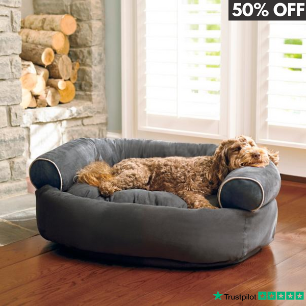 DogSofa Deluxe™ | 50% KORTING! - Grijs / S (48x38cm)