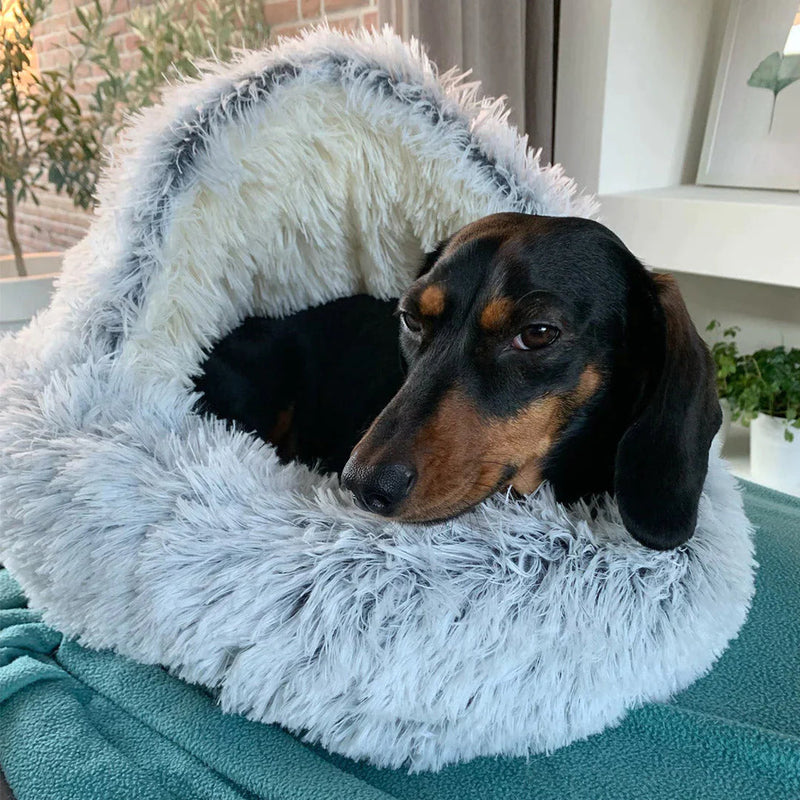 Honden Droombedje™ - Waar Dromen Met Een Zachte Staart Beginnen