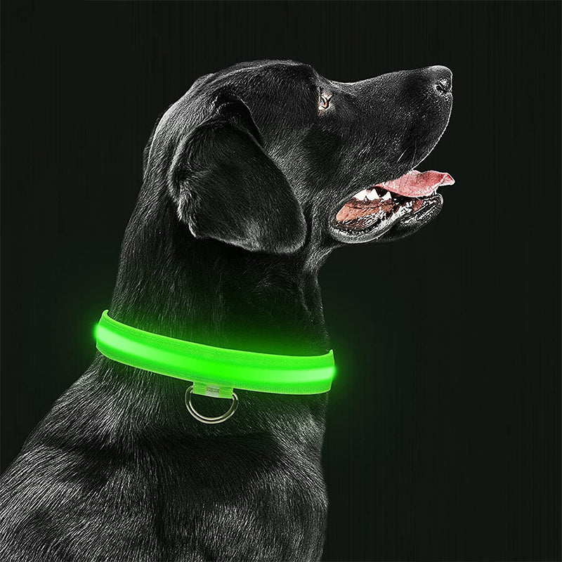 Lichtgevende Halsband - Spetter Collectie - LED Verlichting Zacht & Duurzaam Materiaal - Perfect voor Avondwandelingen