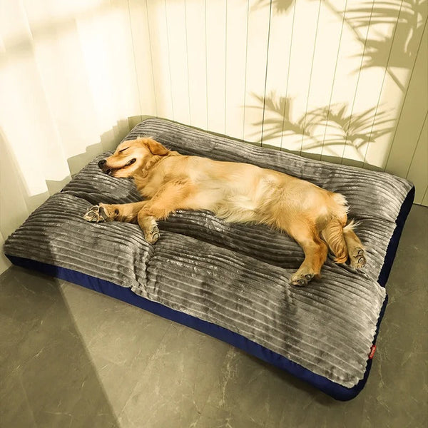 Orthopedisch Hondenkussen Met Afneembare Hoes - Grijs / L - Dog Beds